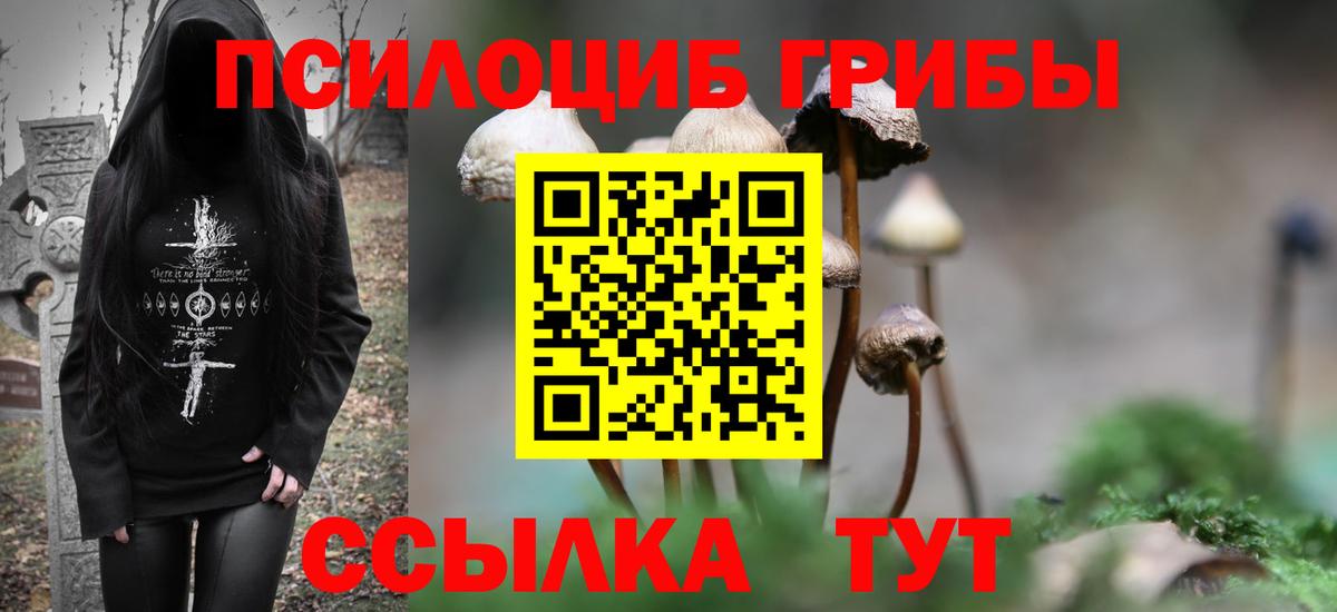 Псилоцибиновые грибы Psilocybine cubensis  Вход с VPN  Урюпинск 